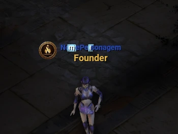 The emblem and the Founder title right below the character name, above the character.